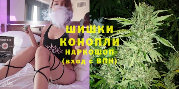 сатива Арсеньев