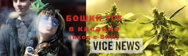 сатива Арсеньев