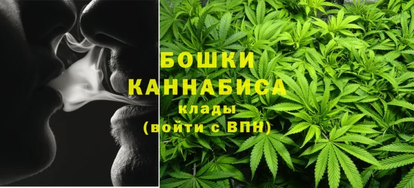 сатива Арсеньев