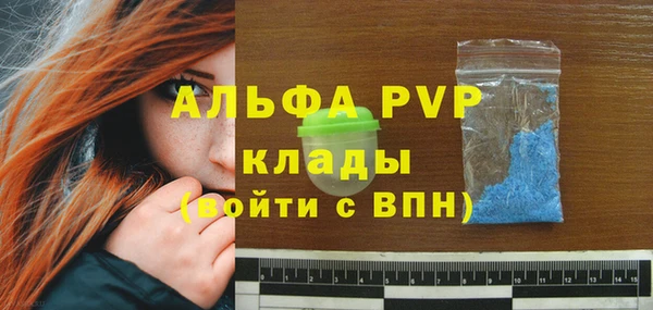сатива Арсеньев