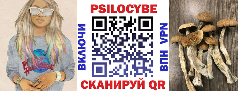 Галлюциногенные грибы Magic Shrooms  Балтийск 
